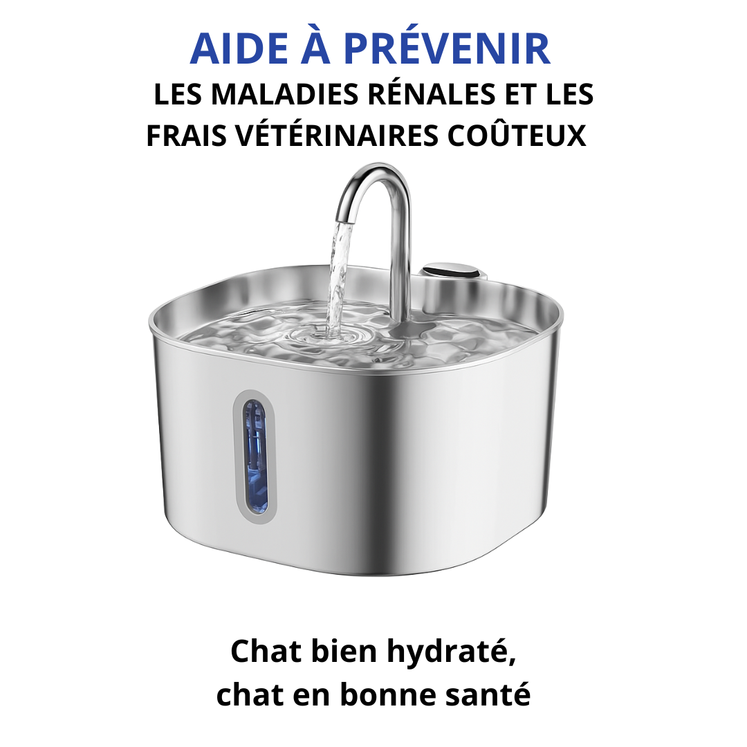 Protégez votre chat des infections urinaires, des calculs et des maladies rénales avec PURRÉO™