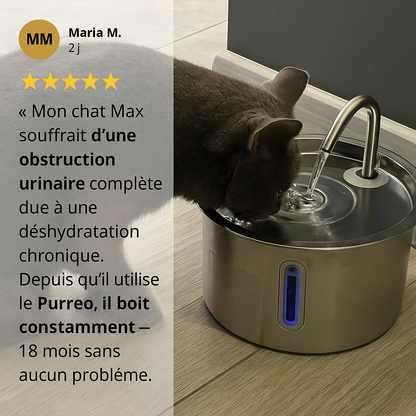 Protégez votre chat des infections urinaires, des calculs et des maladies rénales avec PURRÉO™