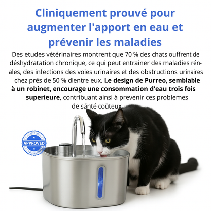Protégez votre chat des infections urinaires, des calculs et des maladies rénales avec PURRÉO™