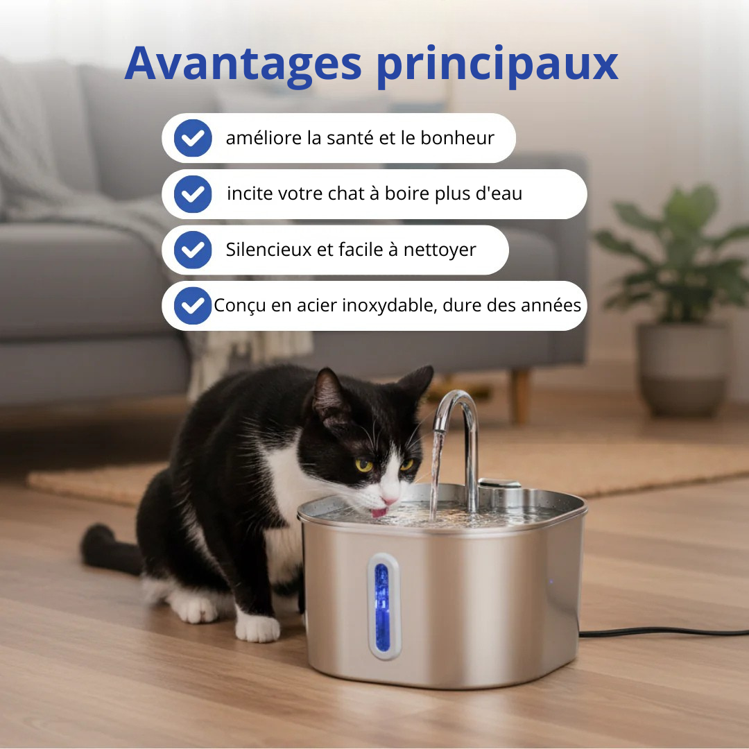Protégez votre chat des infections urinaires, des calculs et des maladies rénales avec PURRÉO™